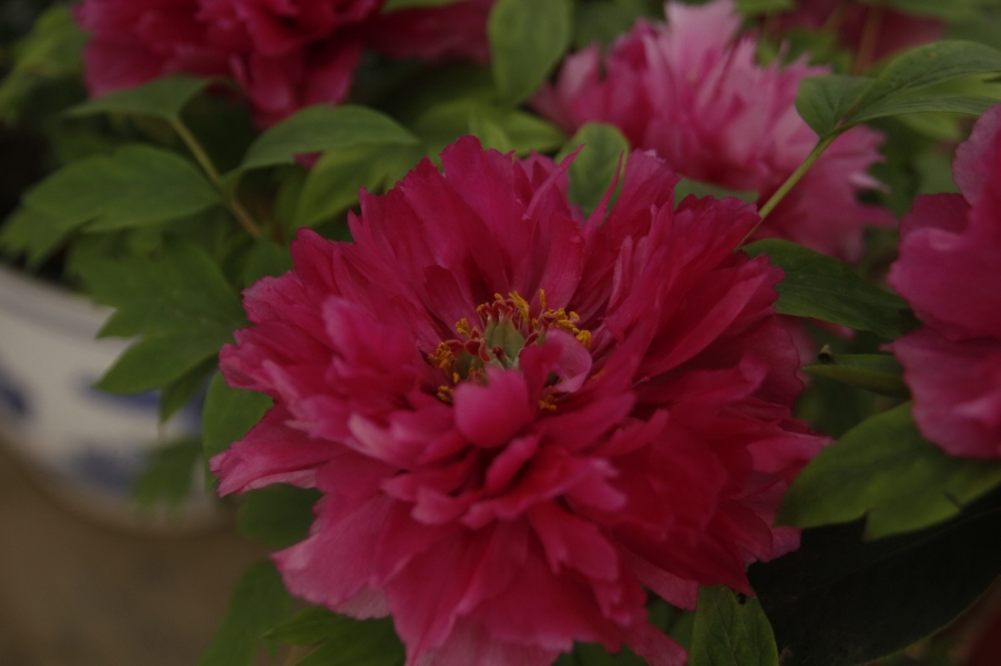 _MG_6694_调整大小.jpg