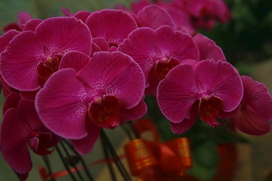 _MG_6743_调整大小.jpg