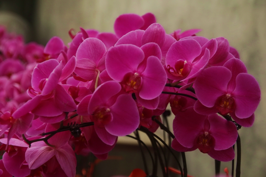 _MG_6746_调整大小.jpg