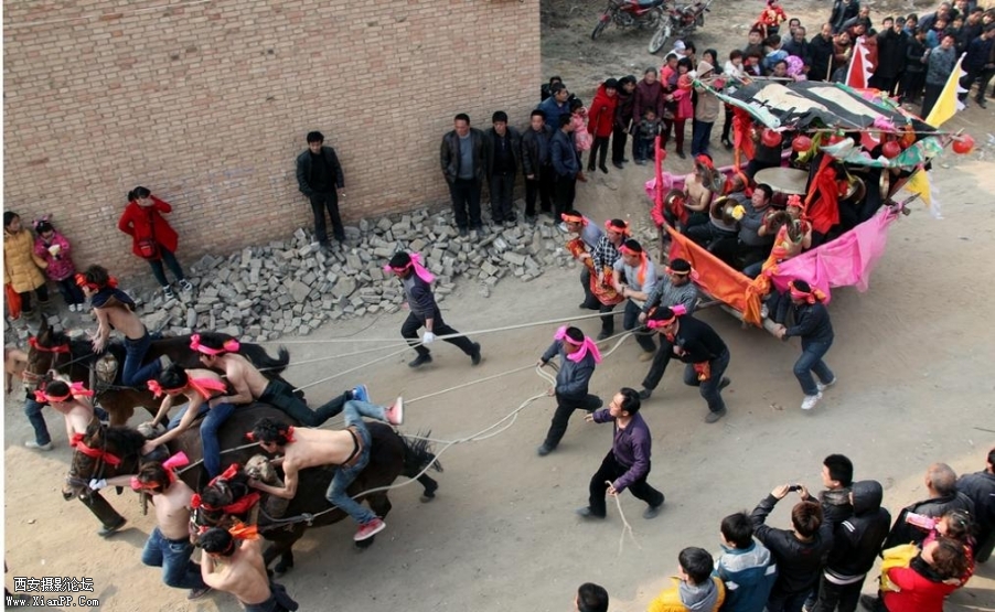 飞跑的骡车.jpg