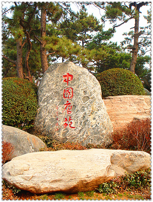 DSC03339_副本_副本.jpg