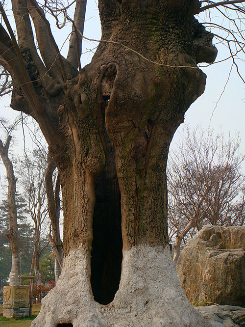 DSC03289_副本.jpg