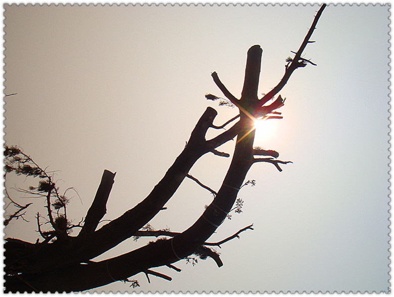 DSC03325_副本.jpg