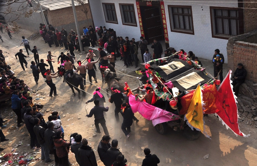 骡车跑起来