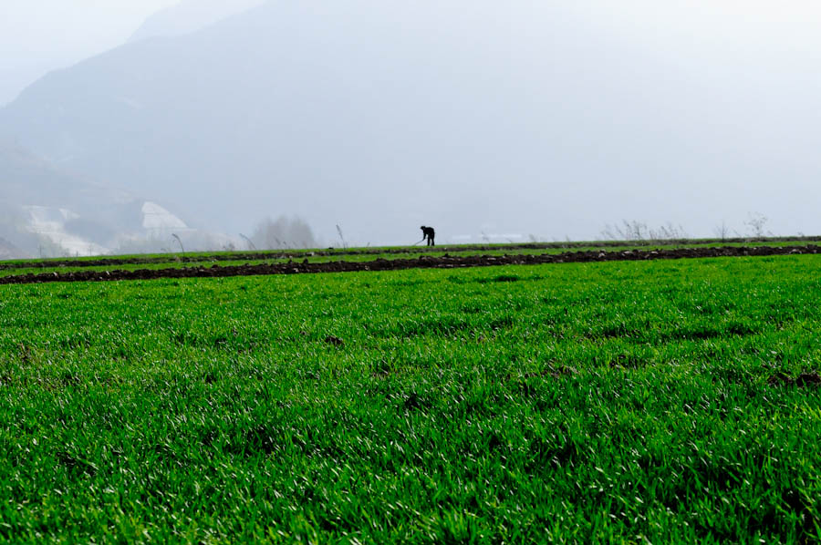 DSC_9879.jpg