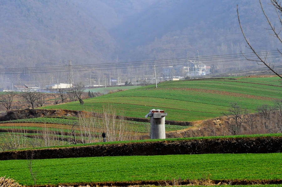 DSC_9888.jpg