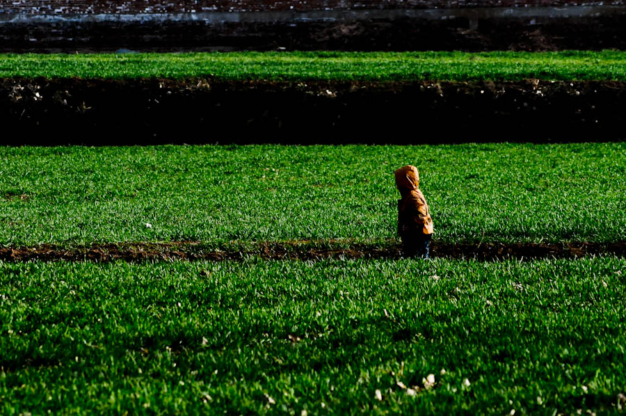DSC_9897.jpg