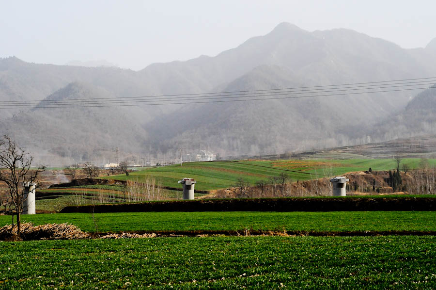 DSC_9902.jpg