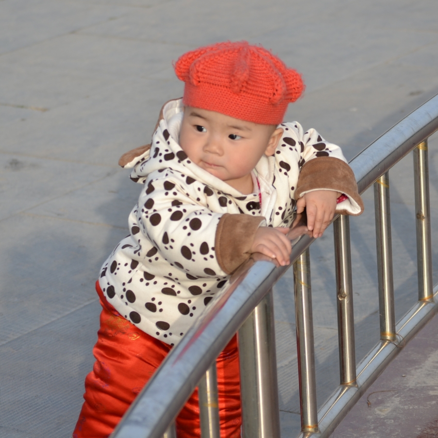 DSC_0170.jpg
