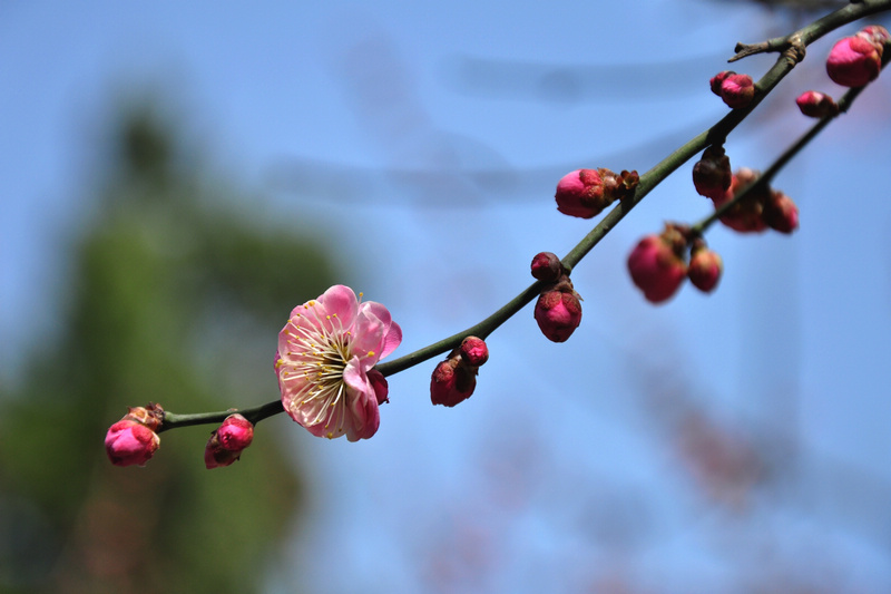 照片 041.jpg