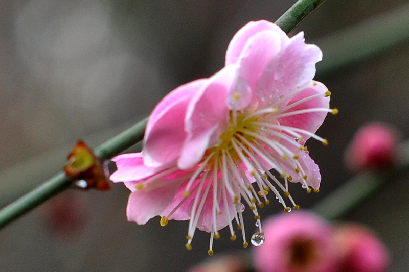 照片 353.jpg