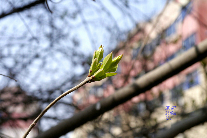 20130305微单.jpg