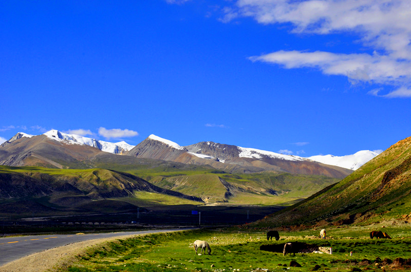 DSC_0332_副本副本.jpg