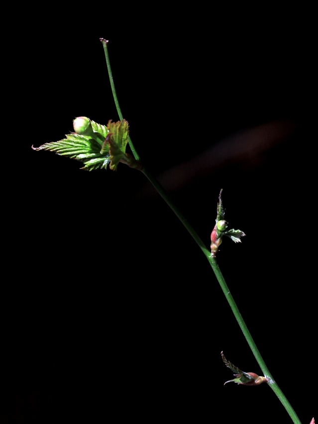 照片 018.jpg