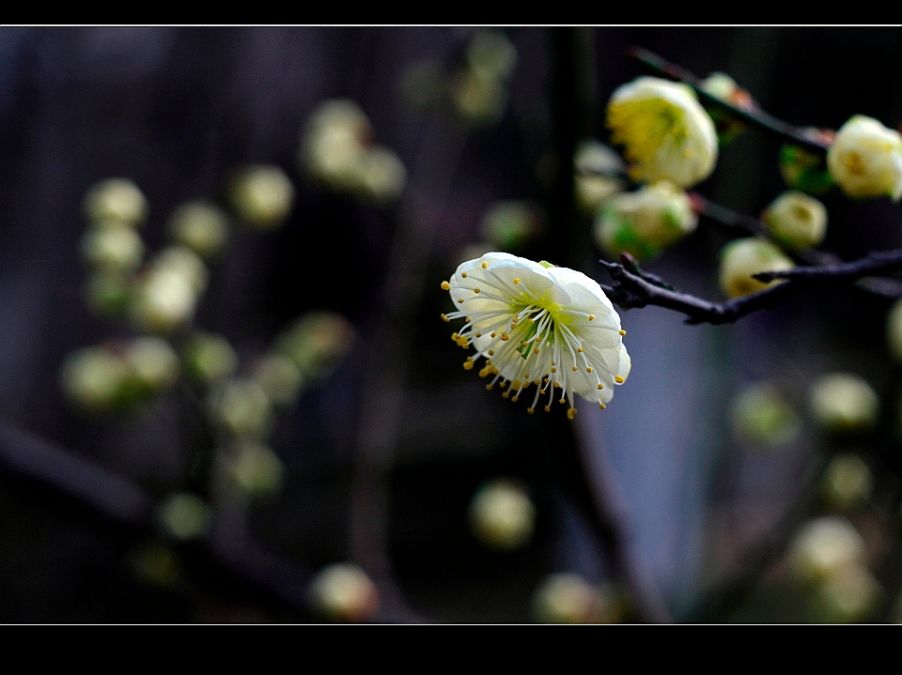 IMGP0675.jpg