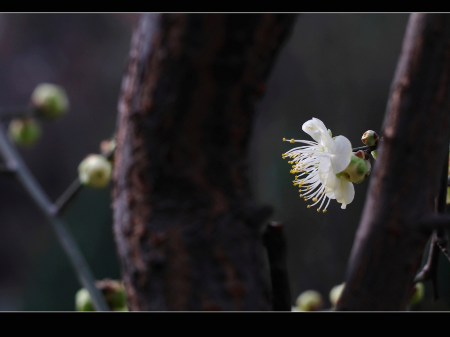 IMGP0678.jpg