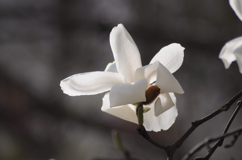 DSC_0180.jpg