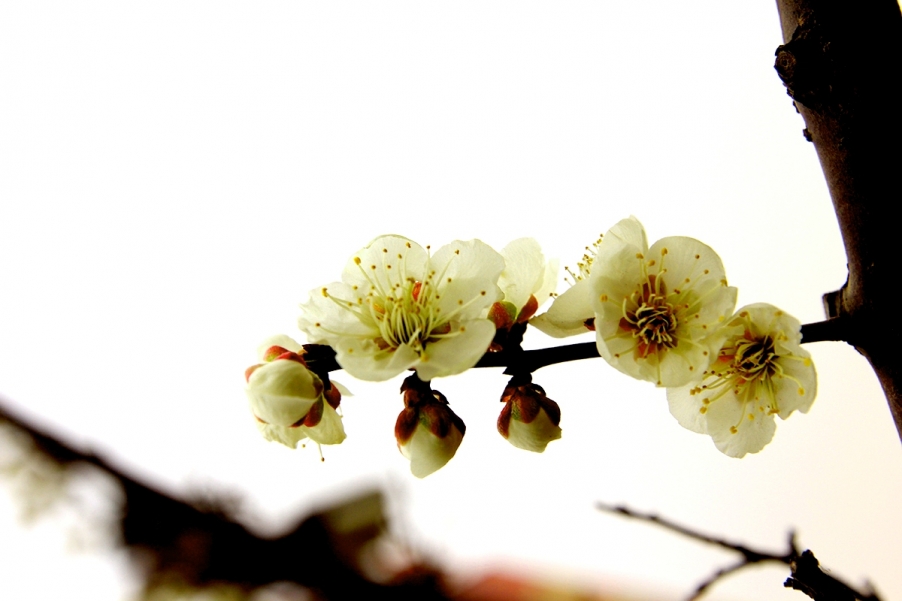 照片 008.jpg