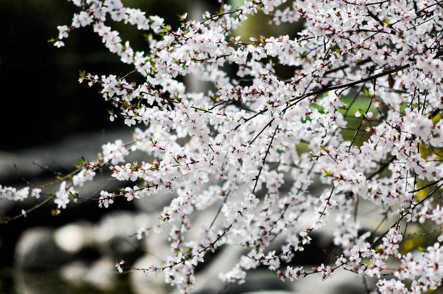 照片 334.jpg