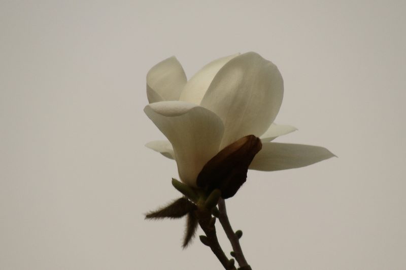 DSC08712.JPG