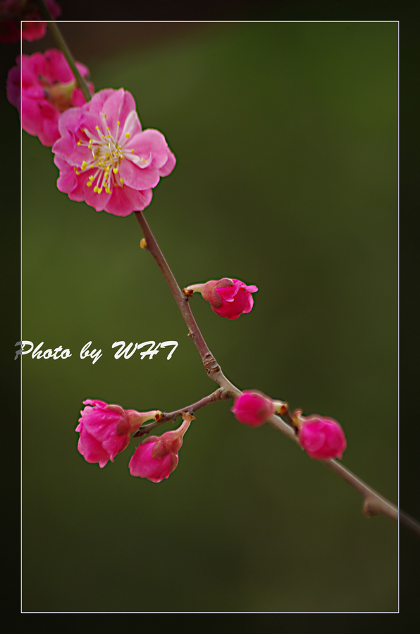 IMGP8965.jpg
