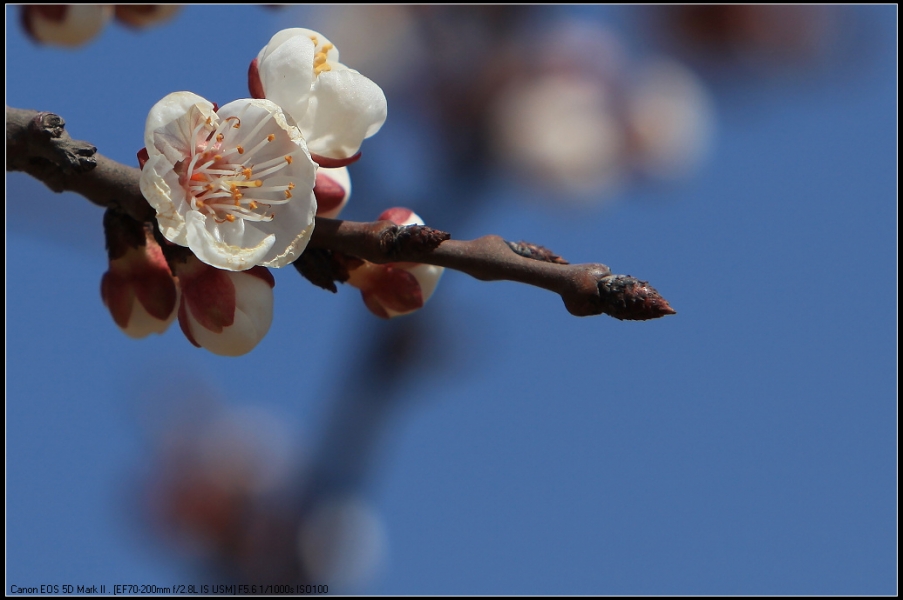 IMG_8535.jpg