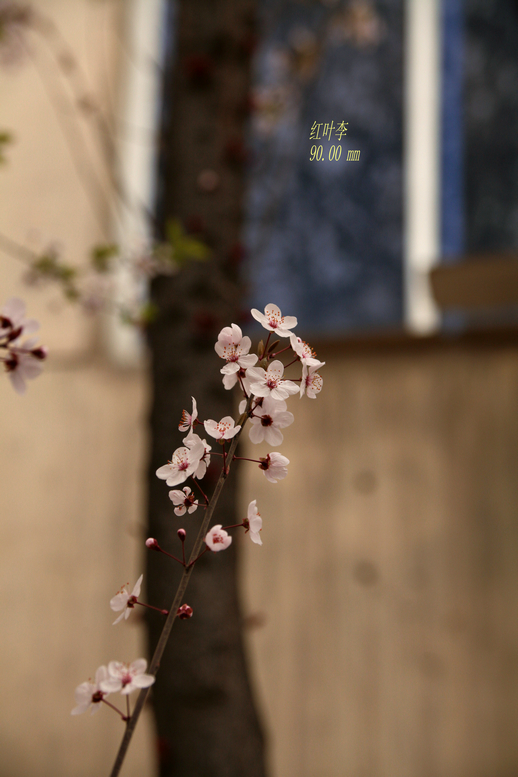 IMG_5517_副本.jpg