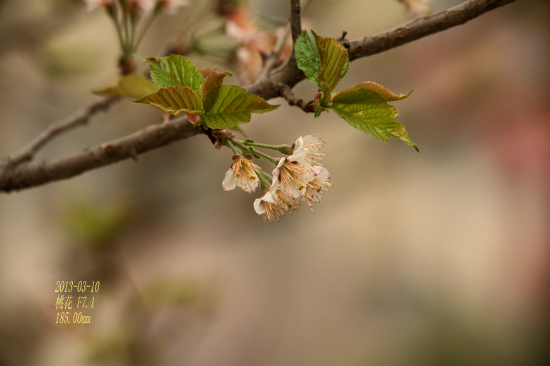 IMG_5541_副本.jpg