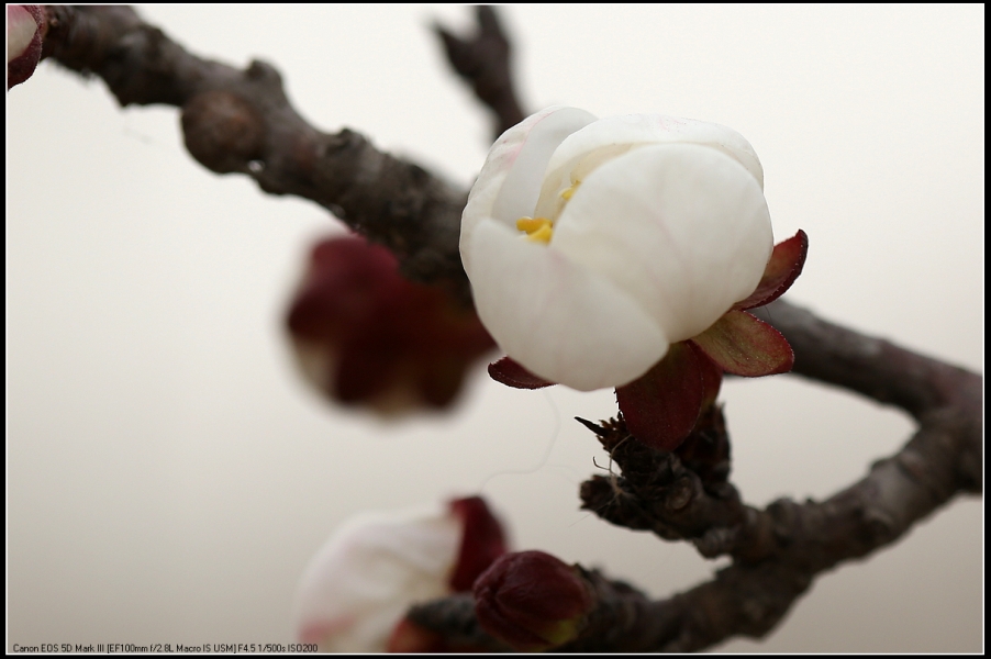 5D3A0097.jpg