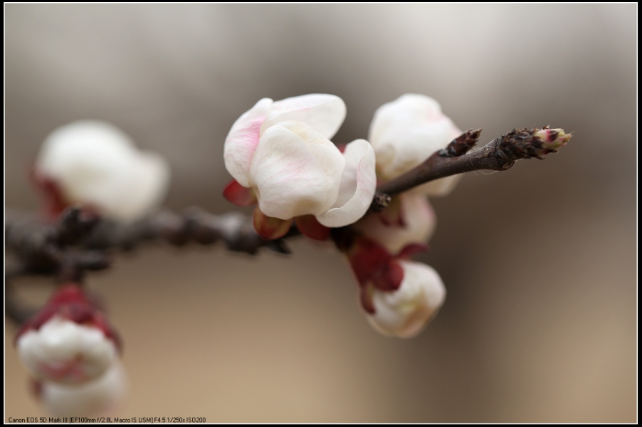 5D3A0112.jpg