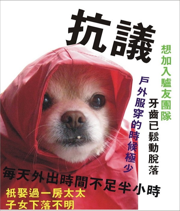 皮皮a.jpg