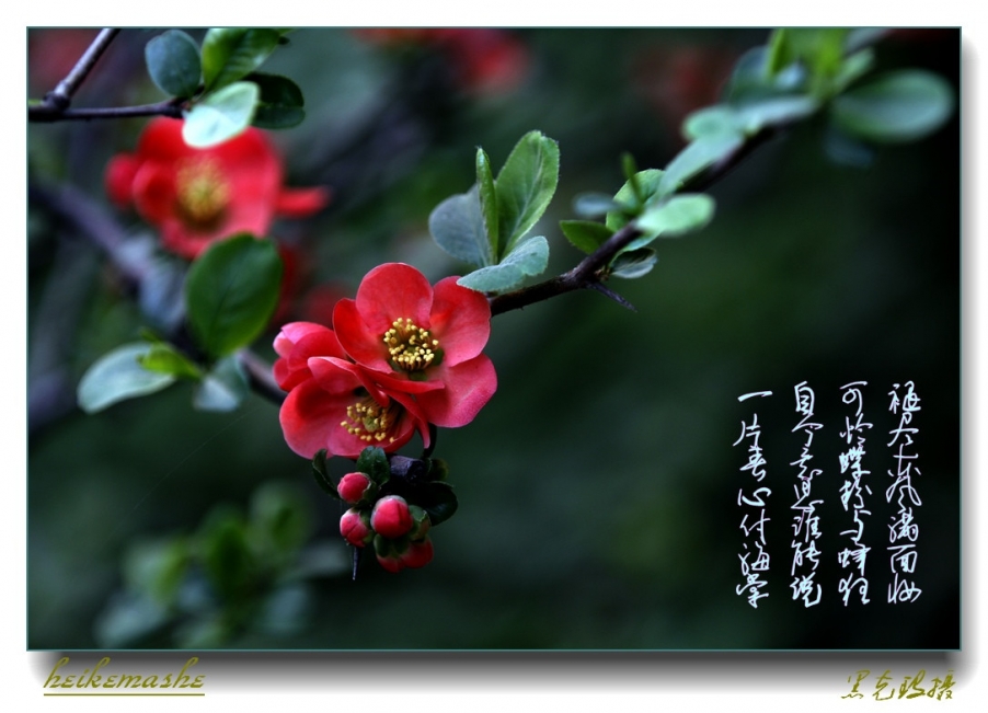 _MG_2621_副本.jpg