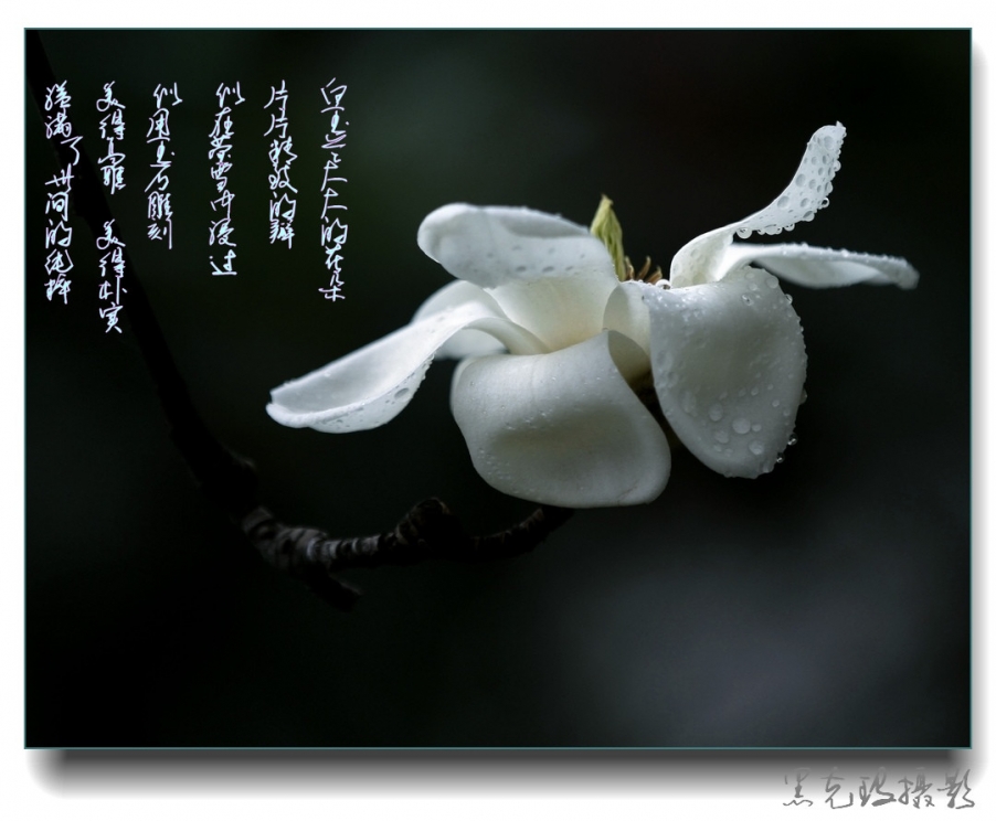 _MG_2590_副本.jpg