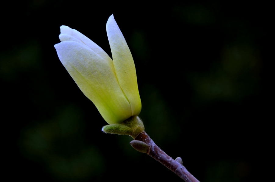 DSC_3411.JPG