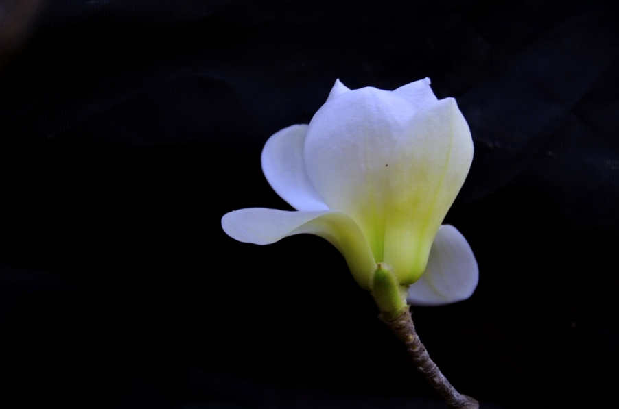 DSC_3470.JPG