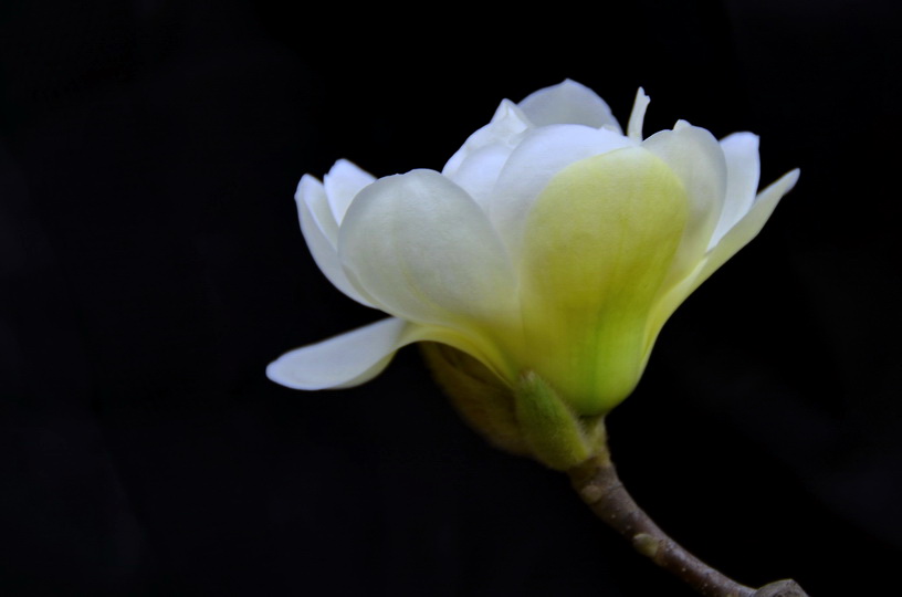 DSC_3476.JPG
