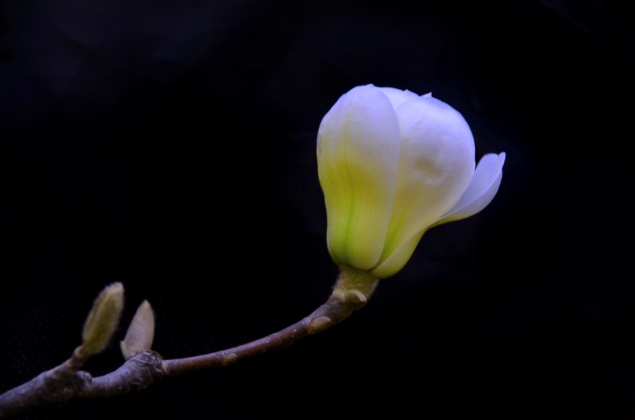 DSC_3483.JPG