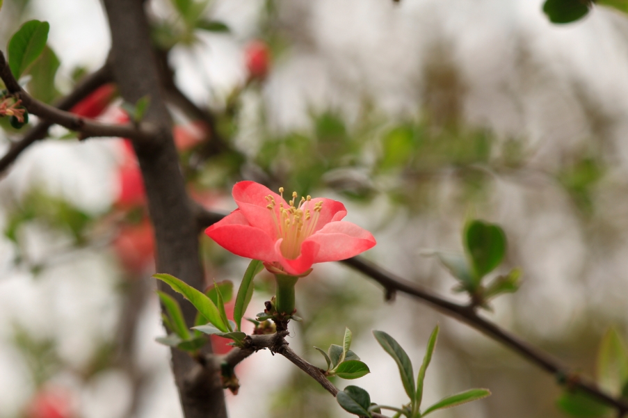 _MG_7593.JPG