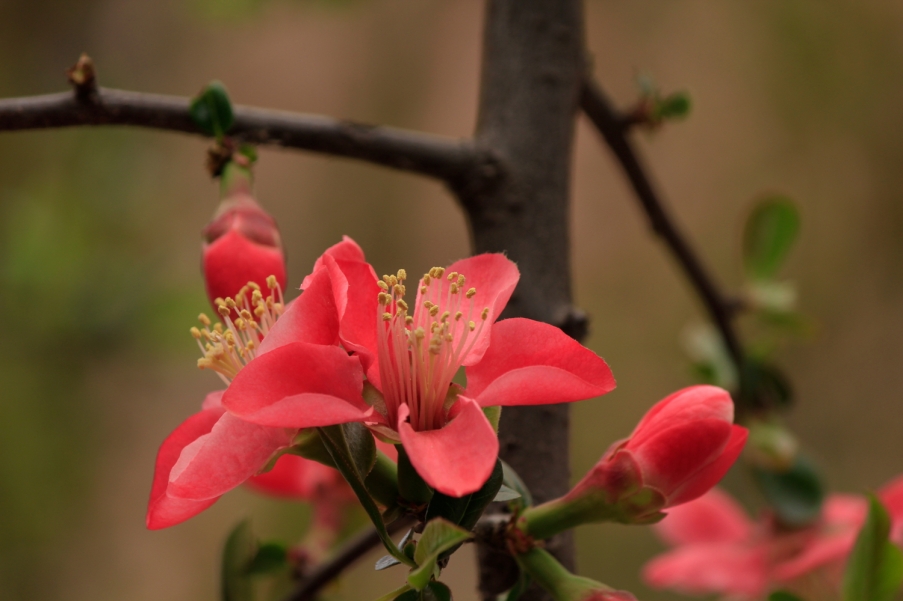_MG_7594.JPG