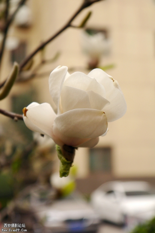 201303明宫，莱美相机 (99).jpg