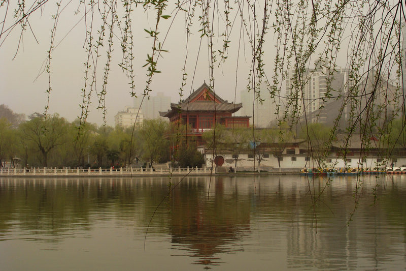DSC08835.JPG