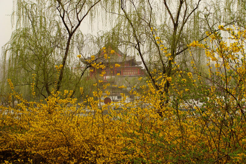 DSC08828.JPG