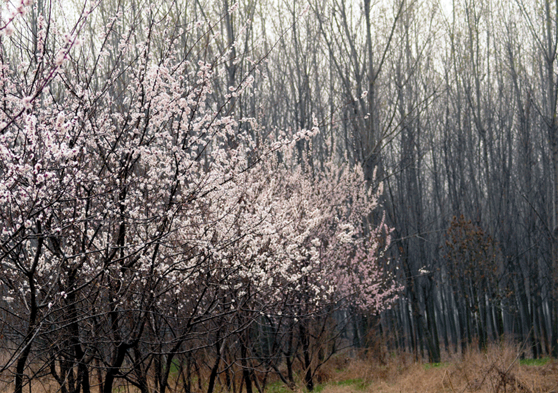 DSC_0079.gif