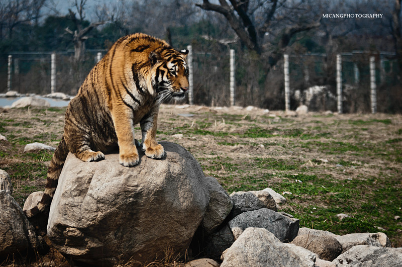 DSC_0138-33_副本.jpg