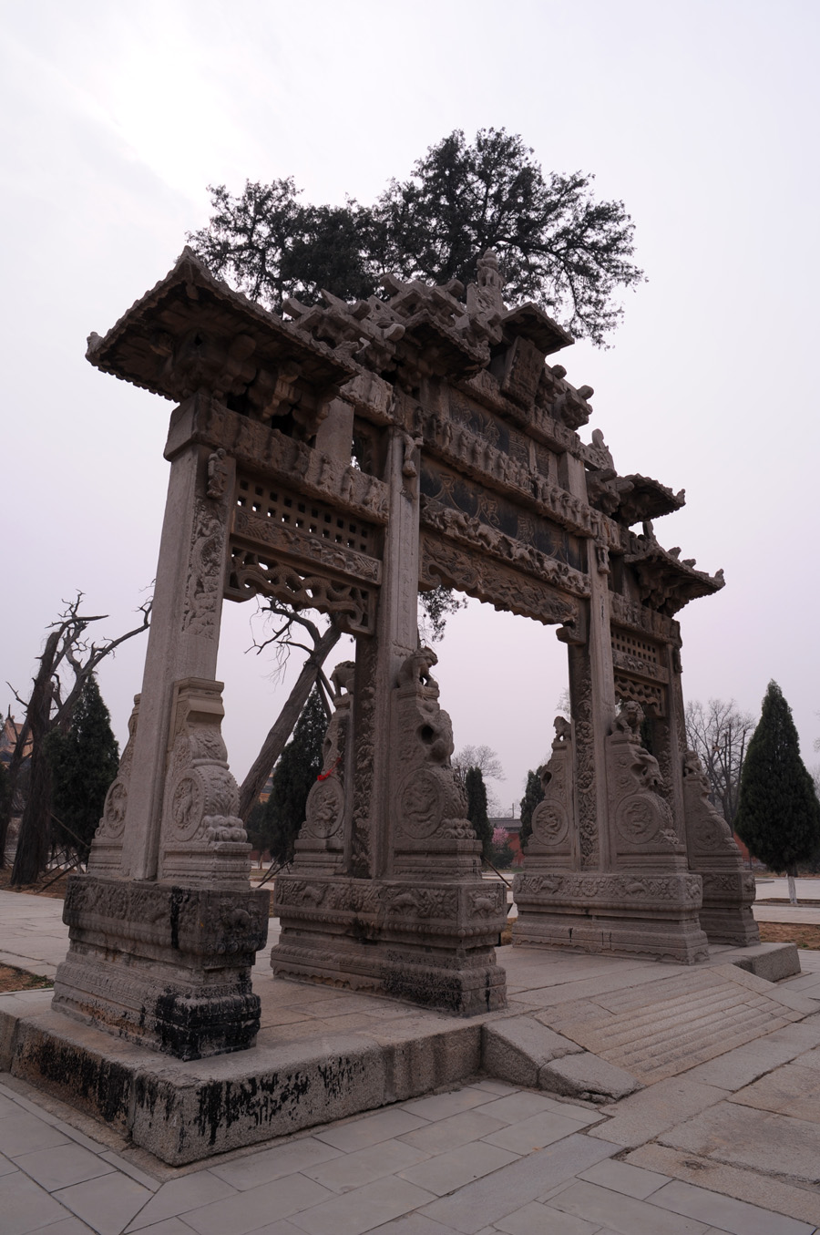 DSC_1225.JPG