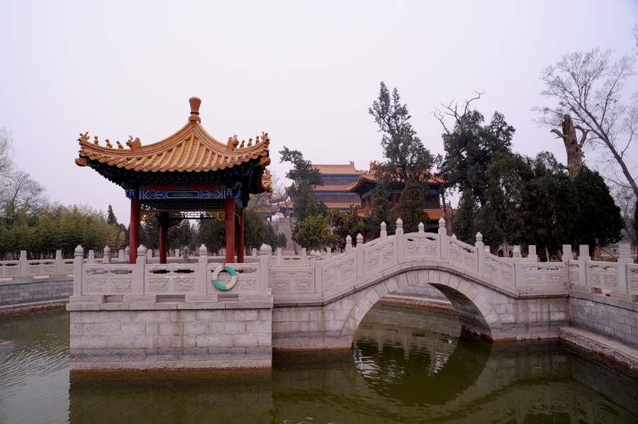 DSC_1249.JPG