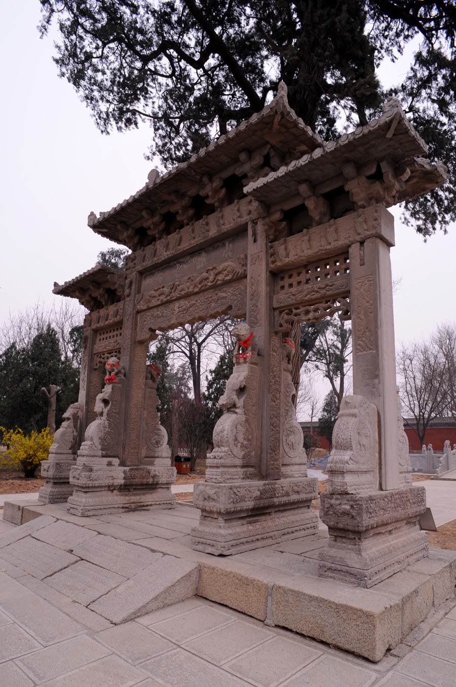 DSC_1253.JPG