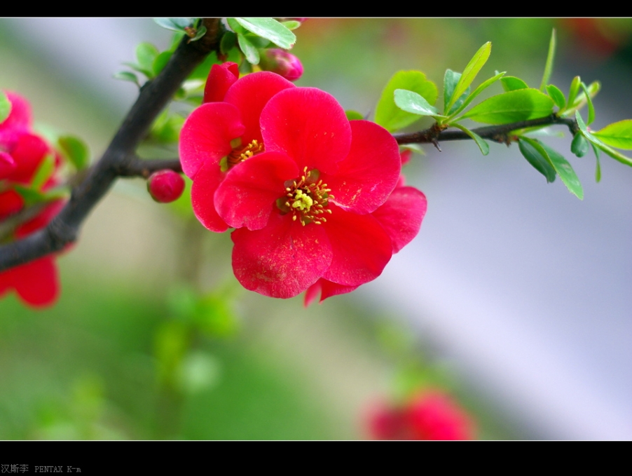 IMGP2939.jpg