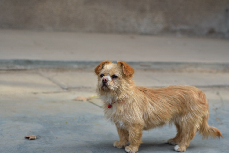DSC_1836好.jpg