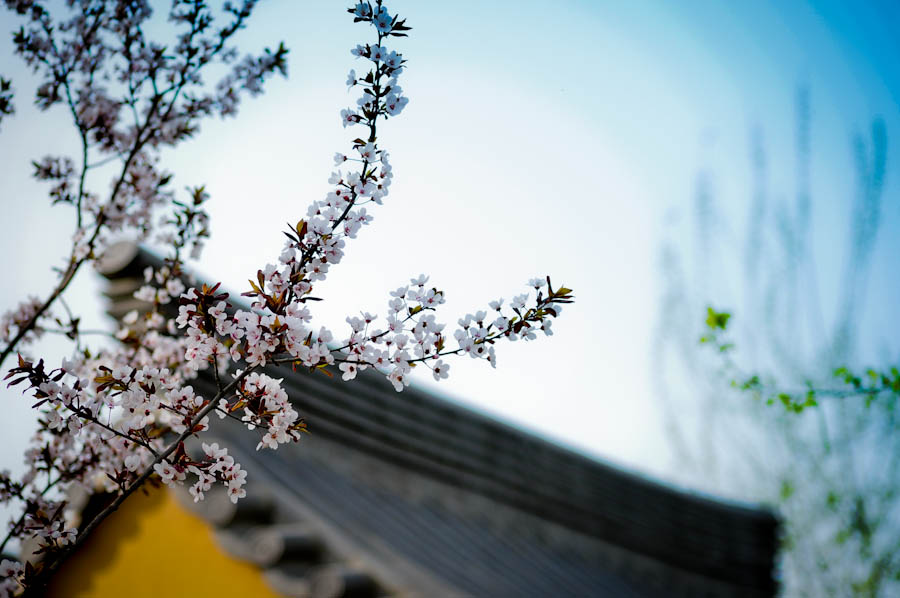 照片 151.jpg